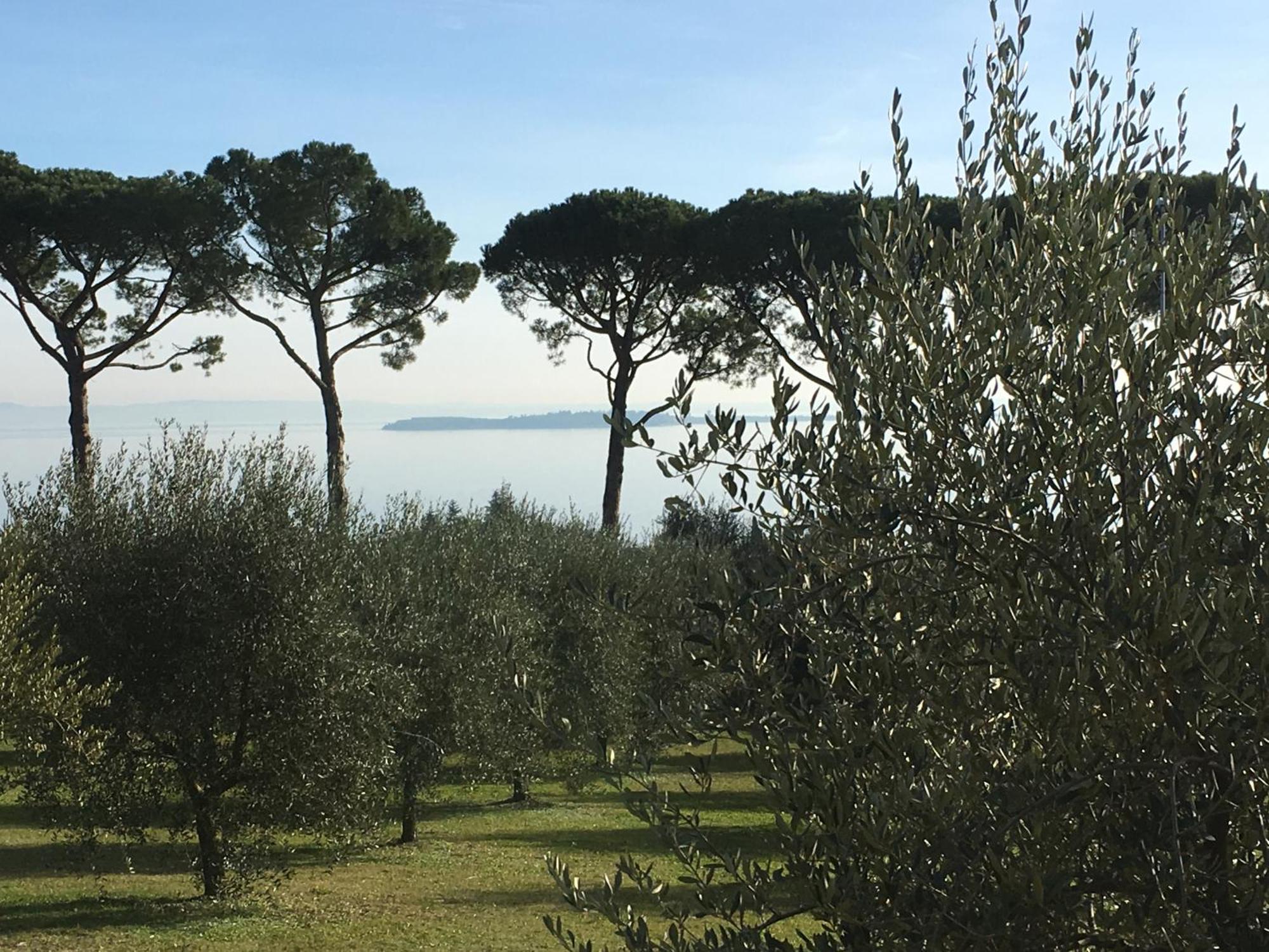 Agriturismo Nonna Bettina Moniga del Garda Exterior foto