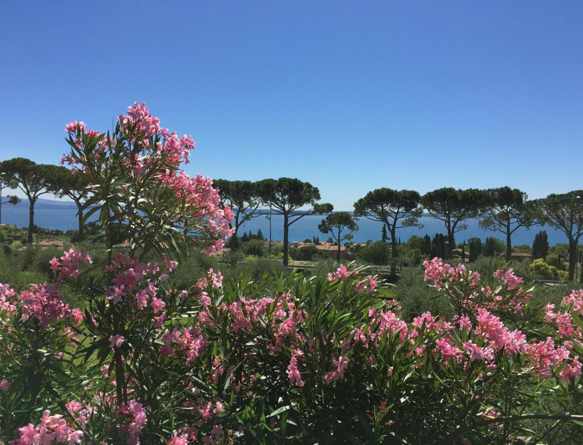 Agriturismo Nonna Bettina Moniga del Garda Exterior foto